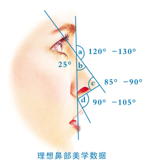 整形有底线，不要太任性！